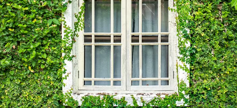Garden Window Repair Near Me in Hercules, CA