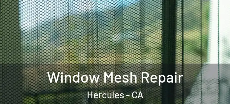  Window Mesh Repair Hercules - CA